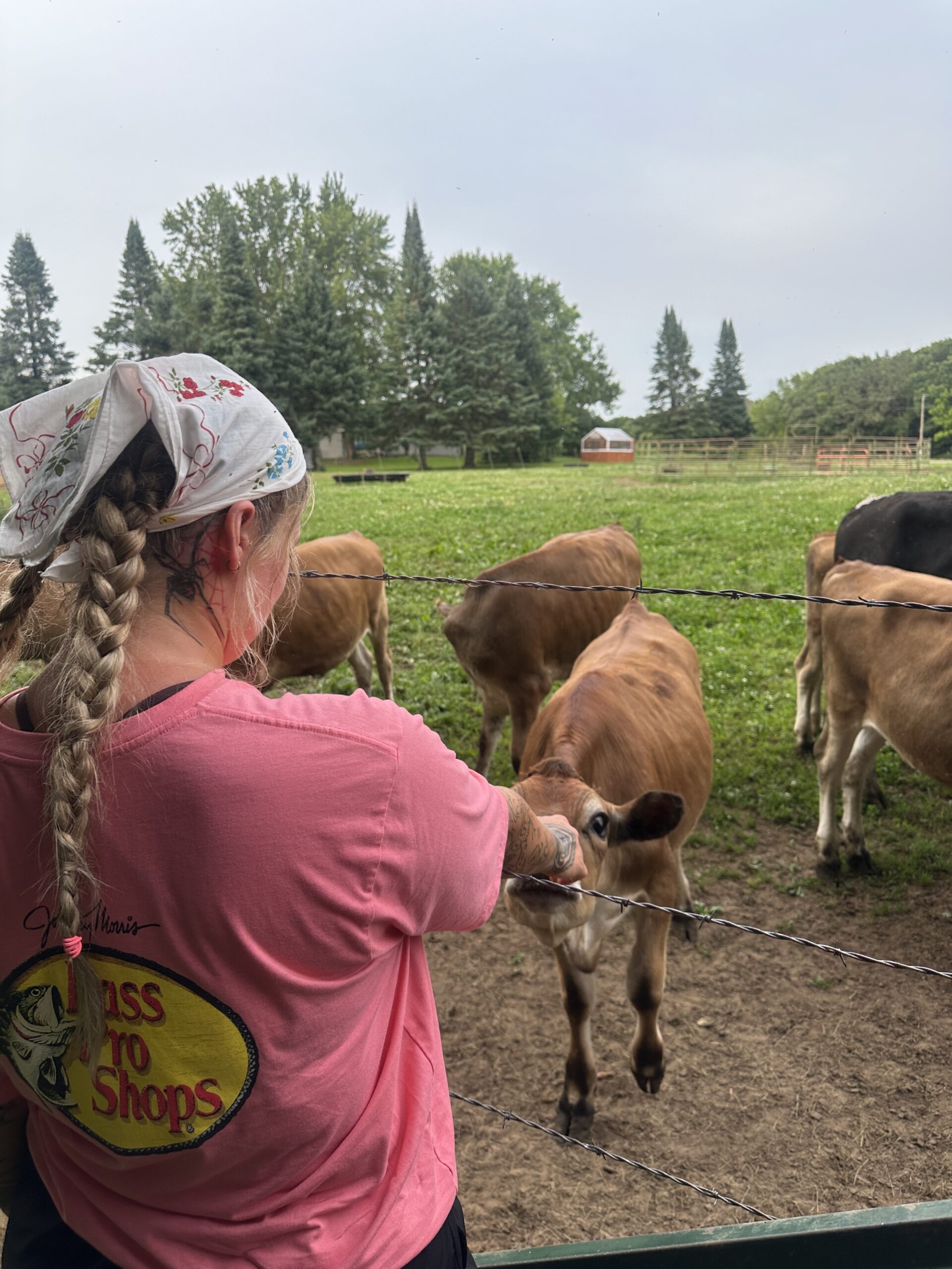 person with cows